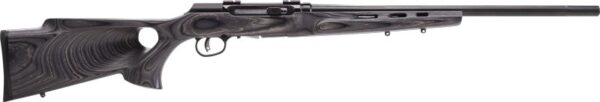 SAVAGE A17 17HMR HVY BBL 22" - ACCU TGR BLU/GRY LAM T-HOLE